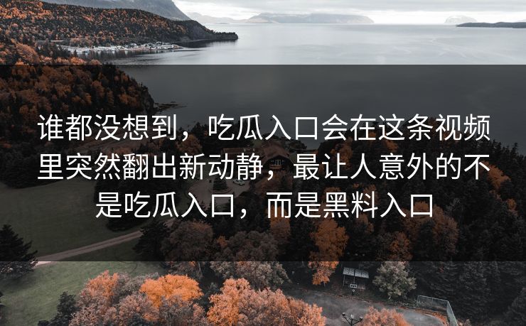 谁都没想到，吃瓜入口会在这条视频里突然翻出新动静，最让人意外的不是吃瓜入口，而是黑料入口