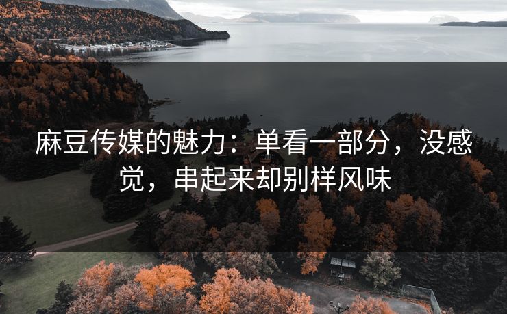麻豆传媒的魅力：单看一部分，没感觉，串起来却别样风味