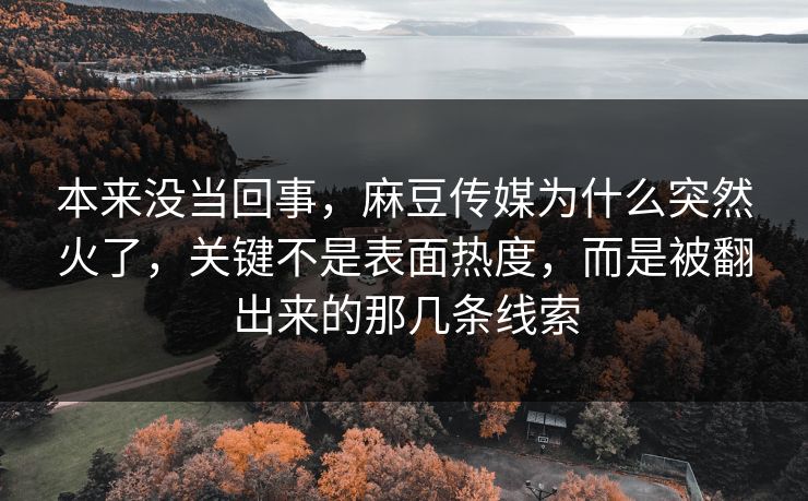 本来没当回事，麻豆传媒为什么突然火了，关键不是表面热度，而是被翻出来的那几条线索