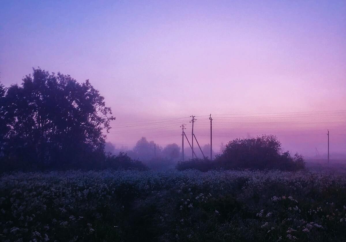 麻豆全集:细看才能发现的情绪驱动力,揭秘它比想象更能打动你