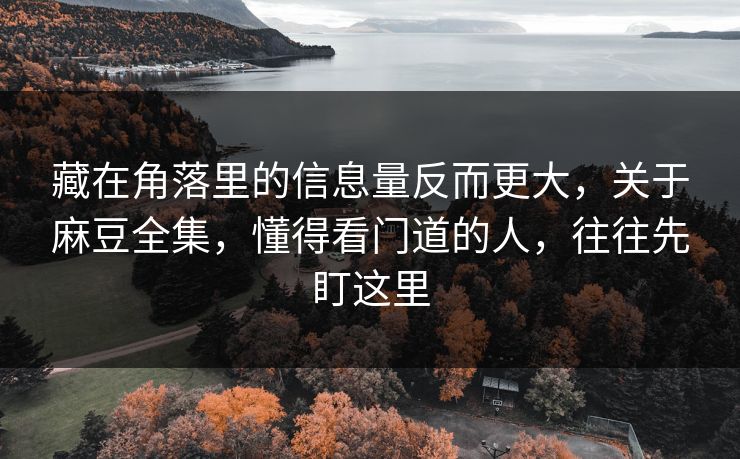 藏在角落里的信息量反而更大，关于麻豆全集，懂得看门道的人，往往先盯这里