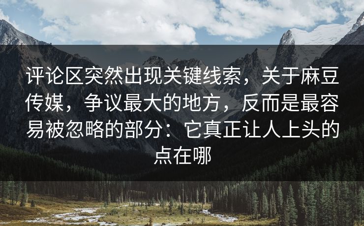 评论区突然出现关键线索，关于麻豆传媒，争议最大的地方，反而是最容易被忽略的部分：它真正让人上头的点在哪
