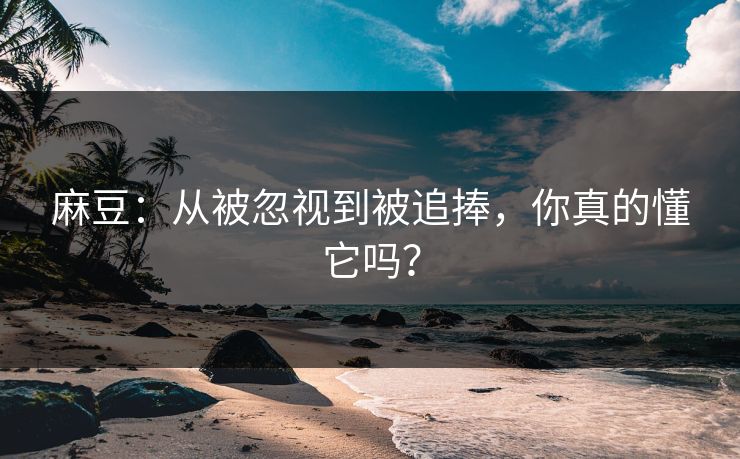 麻豆:从被忽视到被追捧,你真的懂它吗?